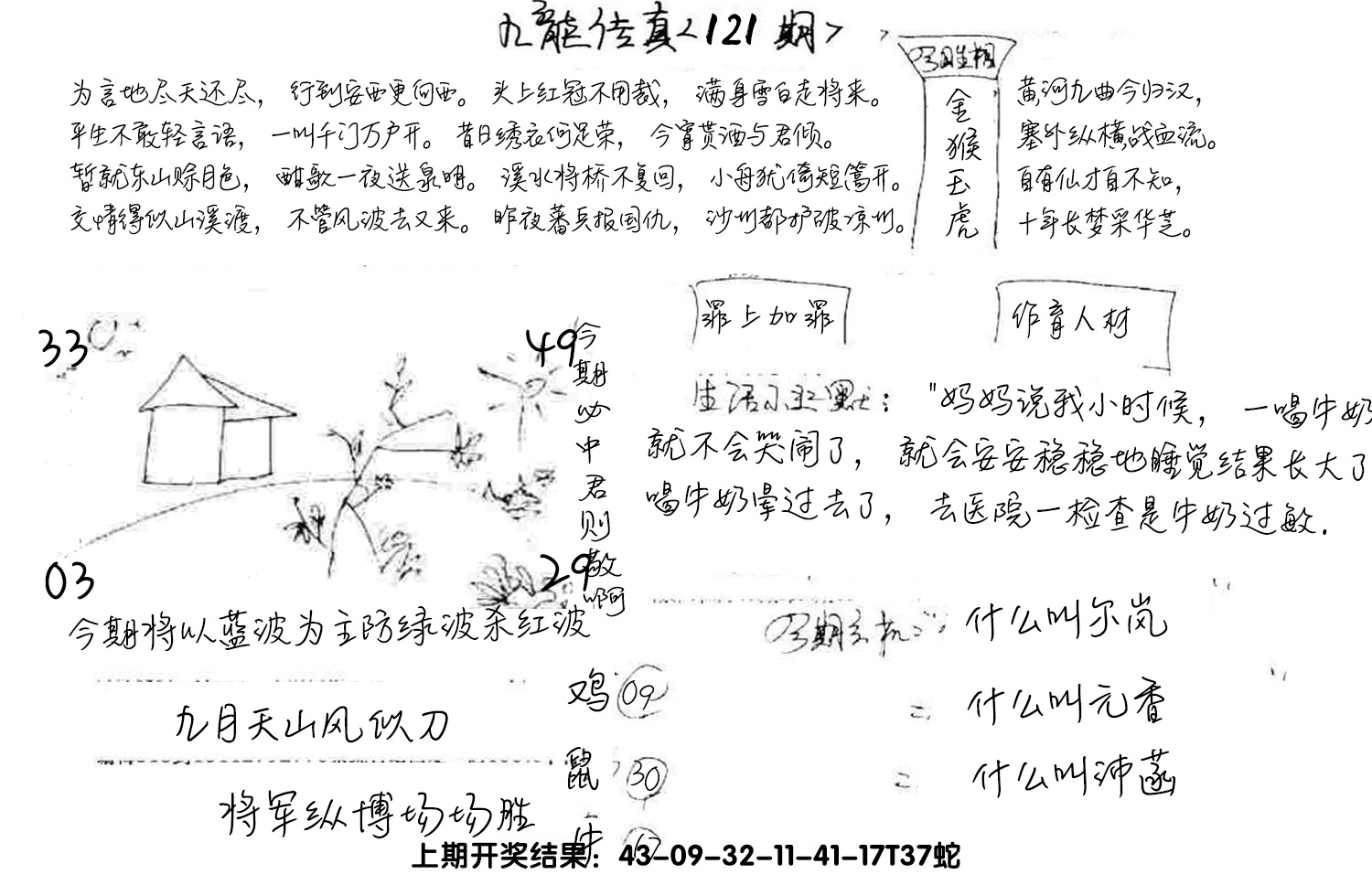 图片加载中