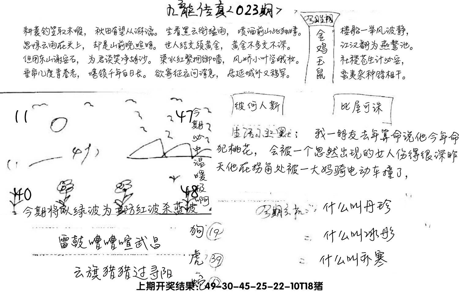 图片加载中