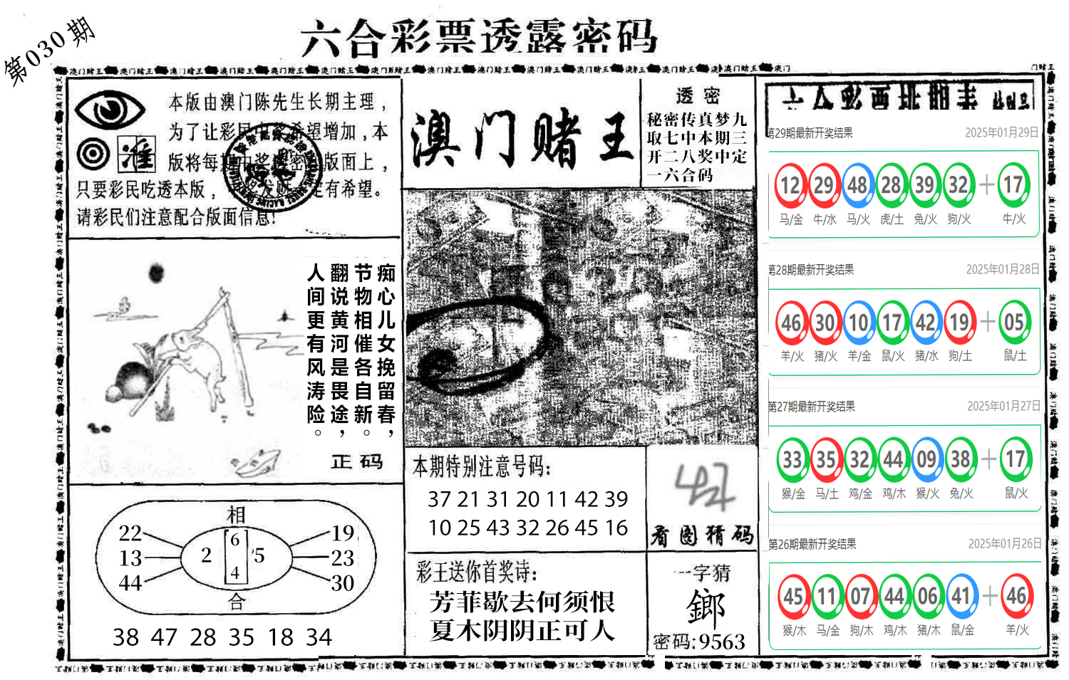 图片加载中