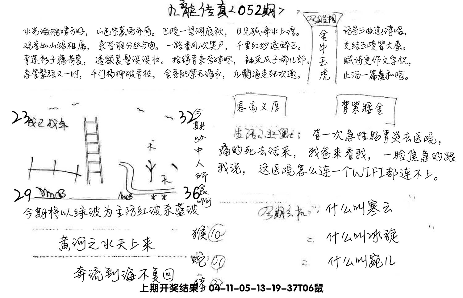 图片加载中
