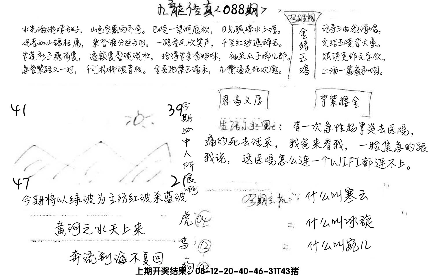图片加载中