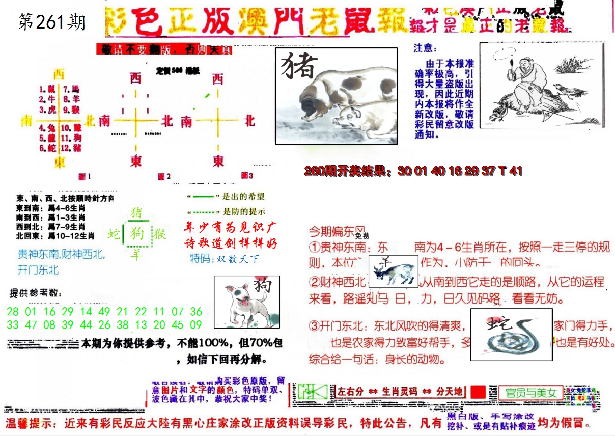 图片加载中