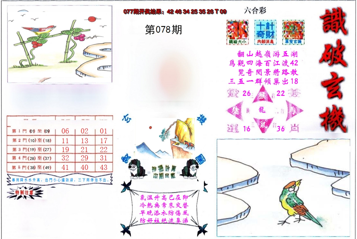 图片加载中