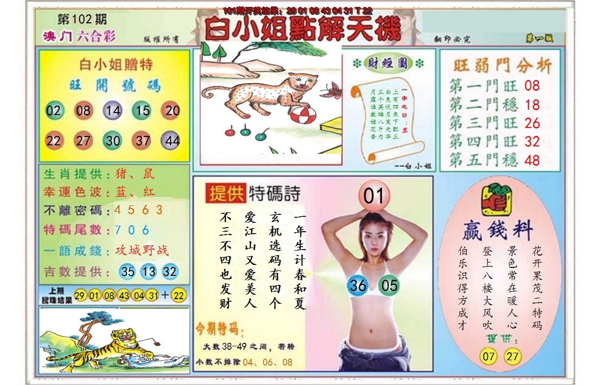 图片加载中