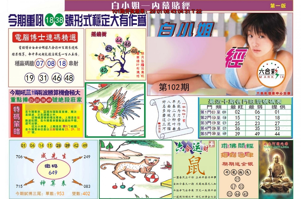 图片加载中
