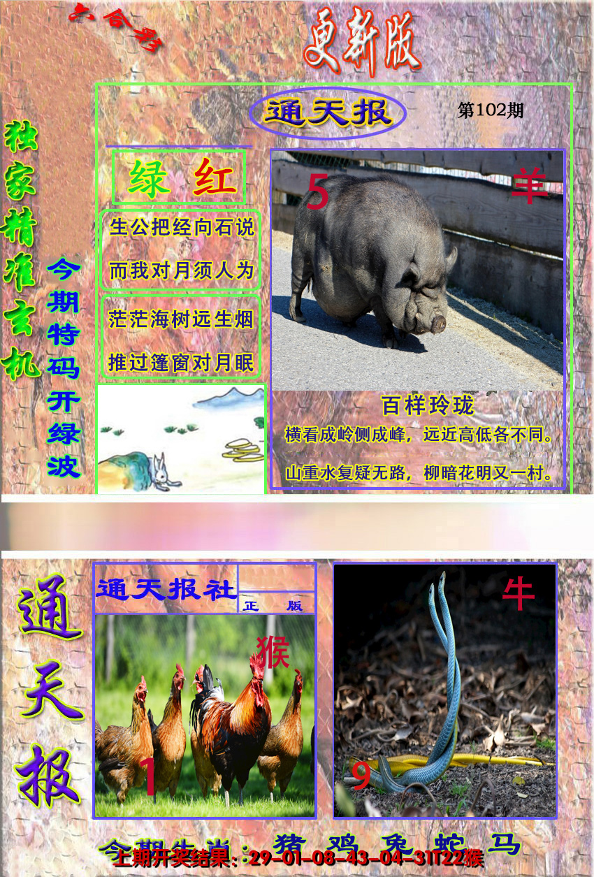 图片加载中