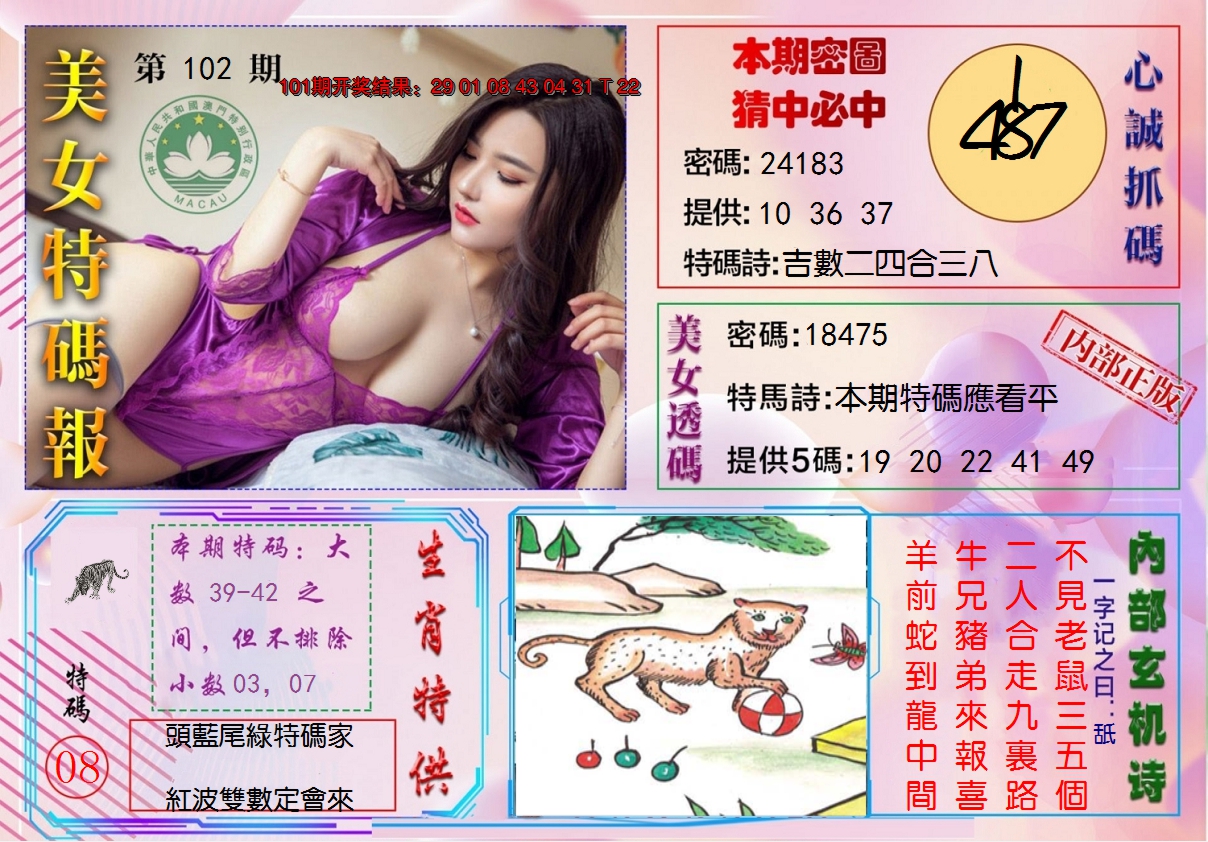 图片加载中