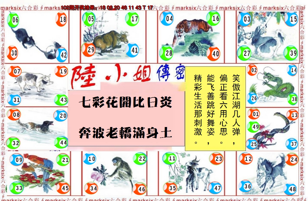 图片加载中