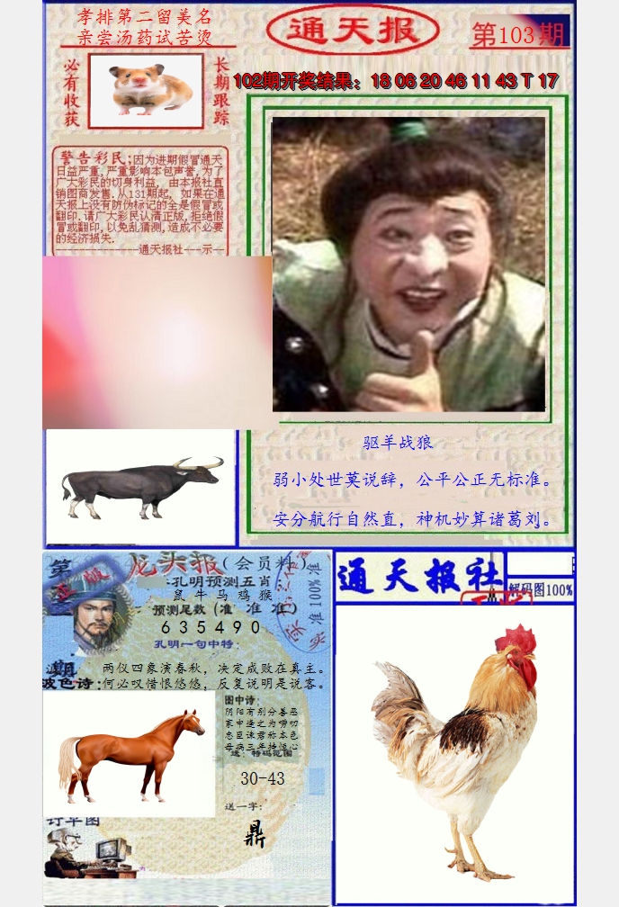 图片加载中
