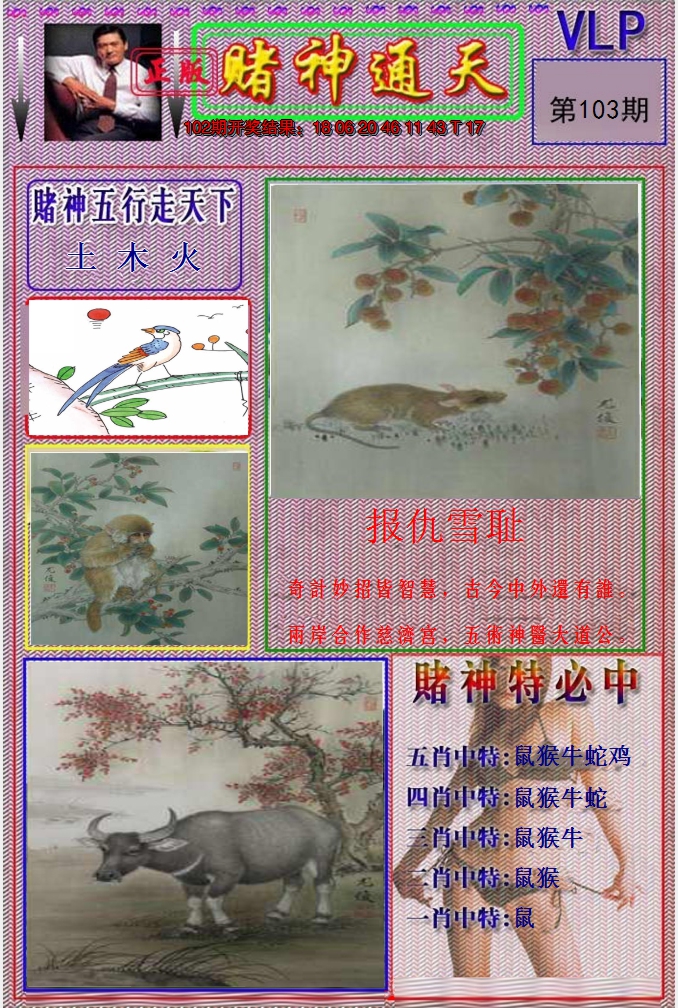 图片加载中
