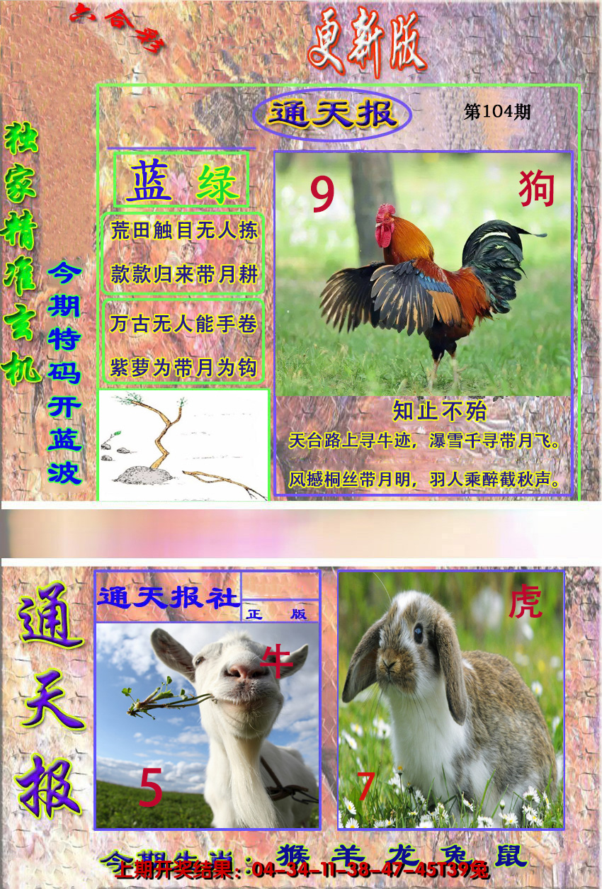 图片加载中