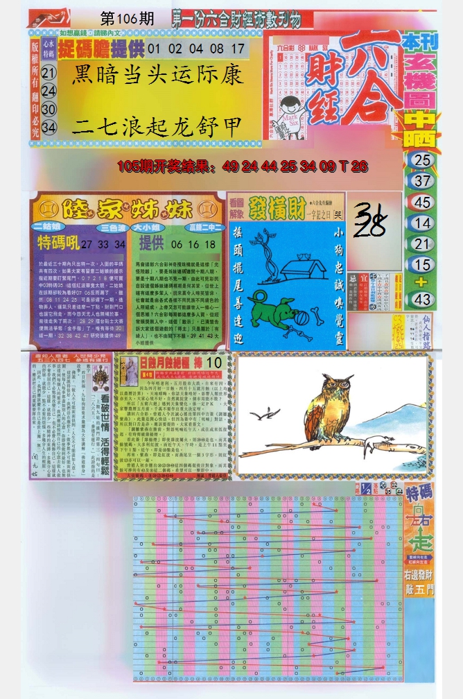 图片加载中