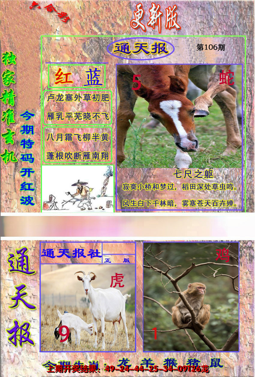 图片加载中