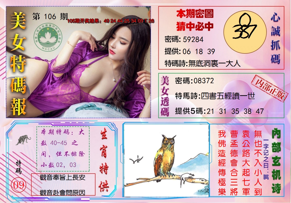 图片加载中