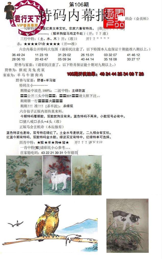 图片加载中