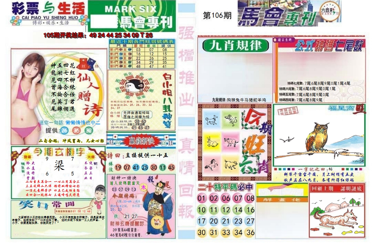 图片加载中