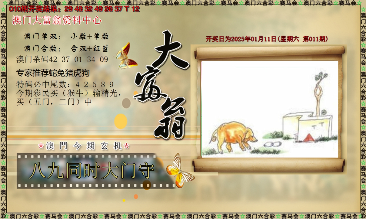 图片加载中