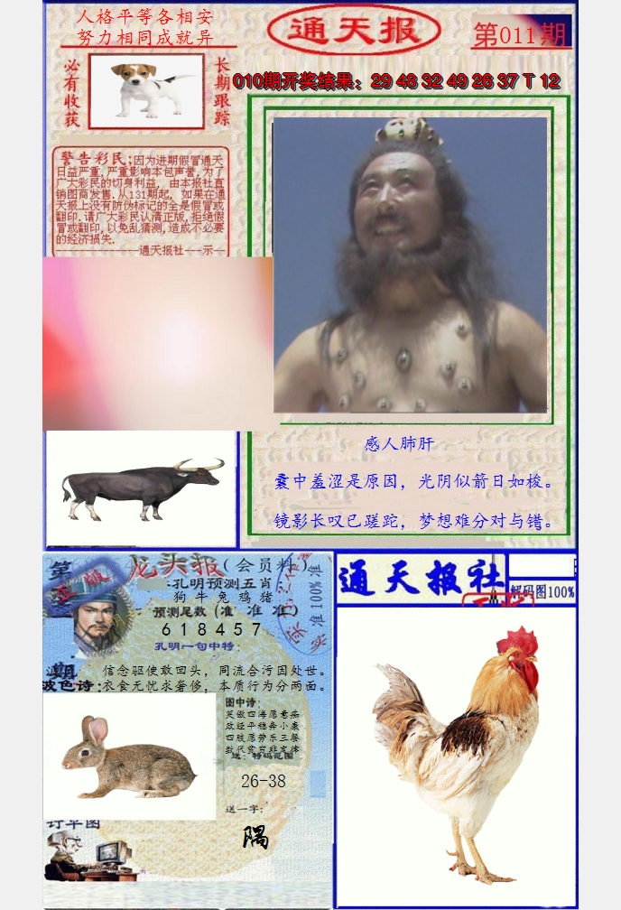 图片加载中