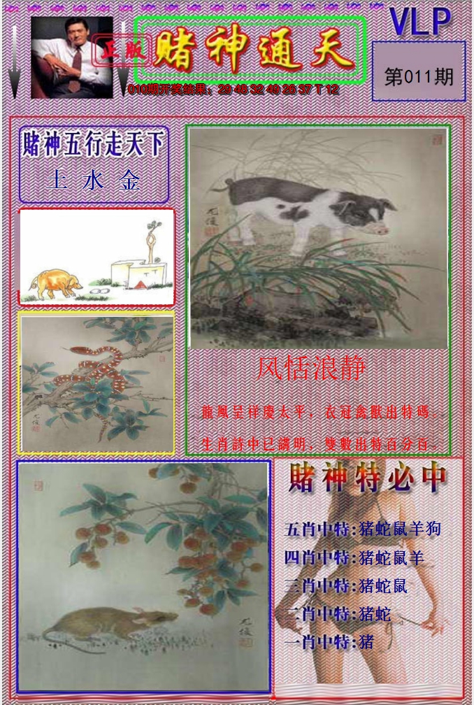 图片加载中