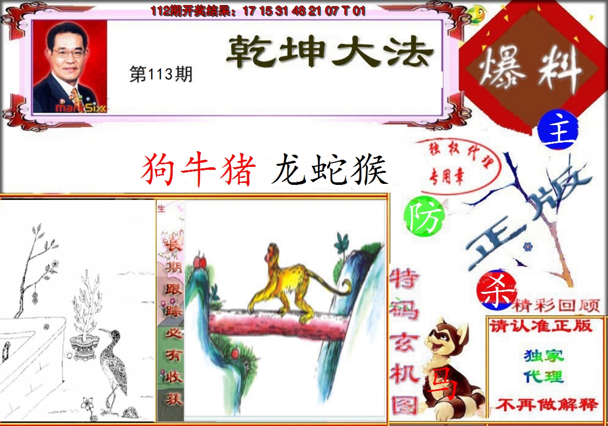 图片加载中