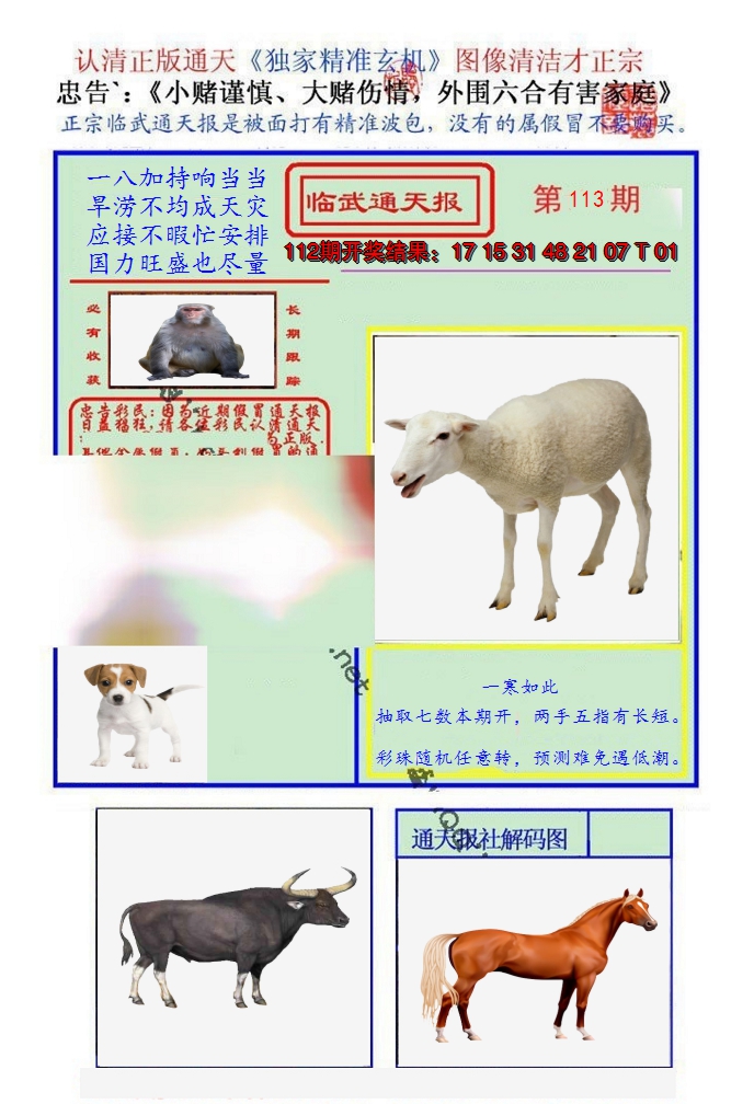图片加载中