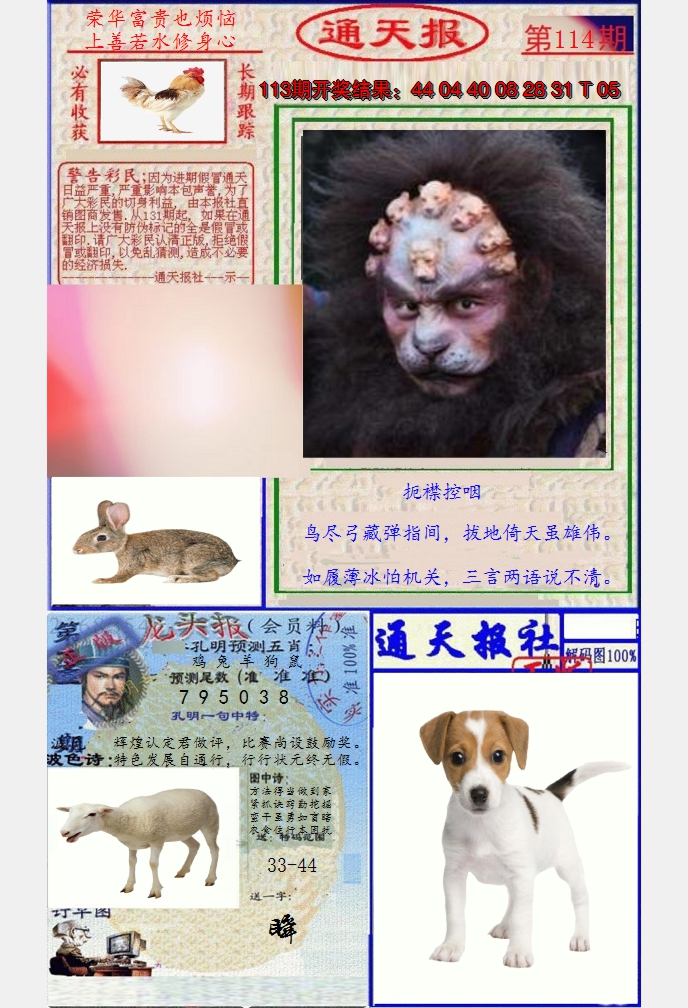 图片加载中