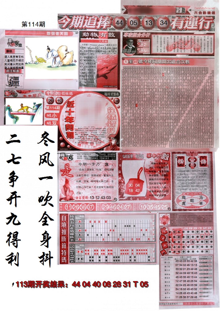 图片加载中