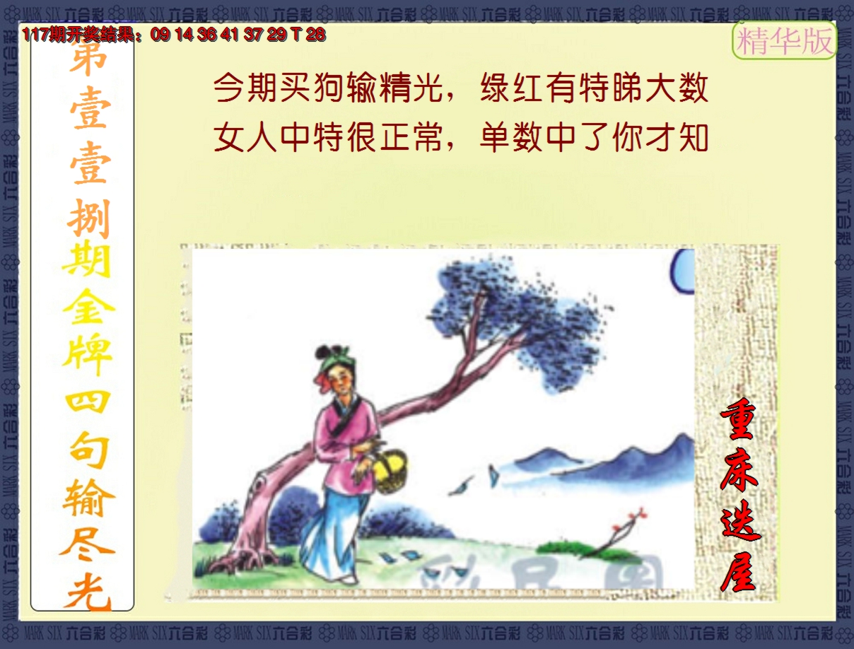 图片加载中
