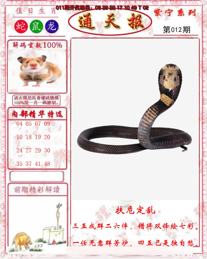 图片加载中