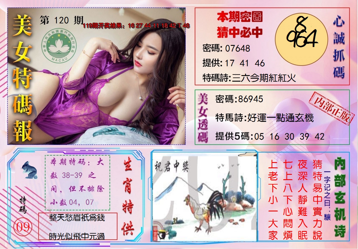 图片加载中