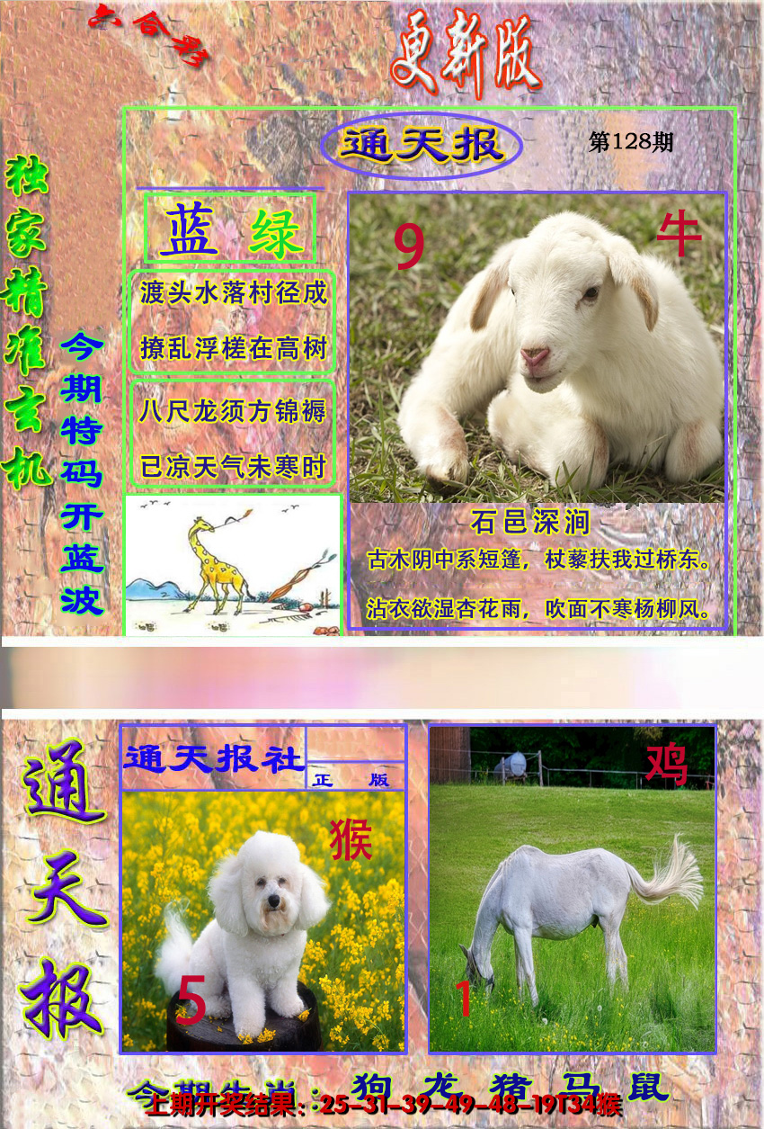 图片加载中