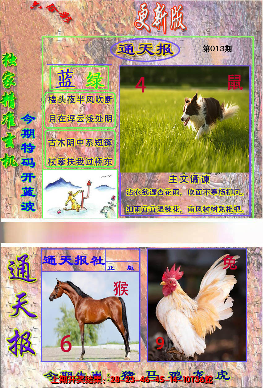 图片加载中