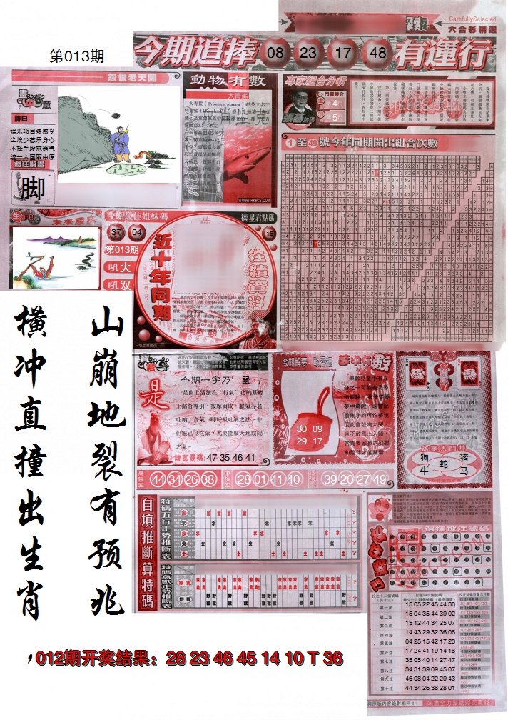 图片加载中