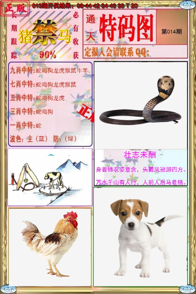 图片加载中