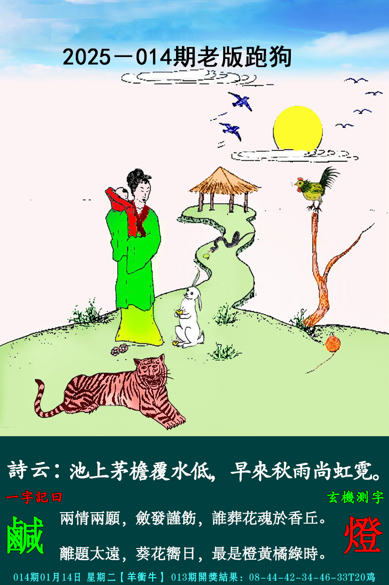 图片加载中