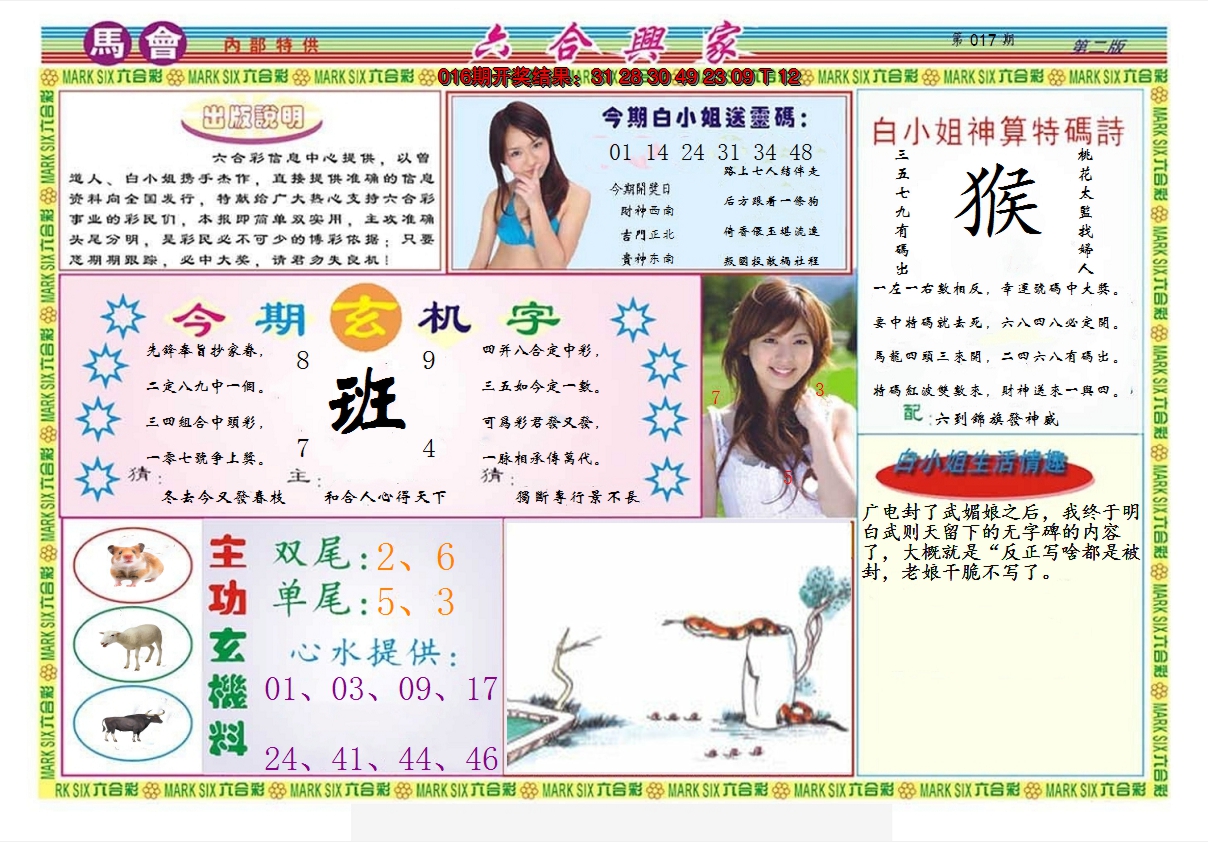 图片加载中