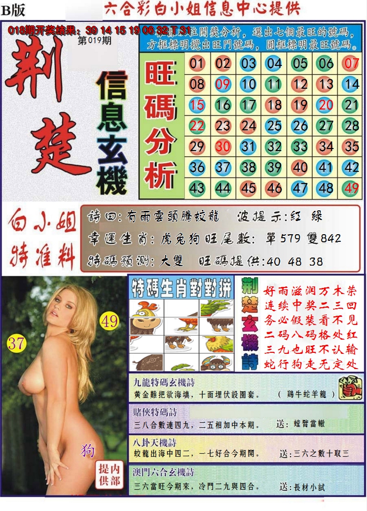 图片加载中