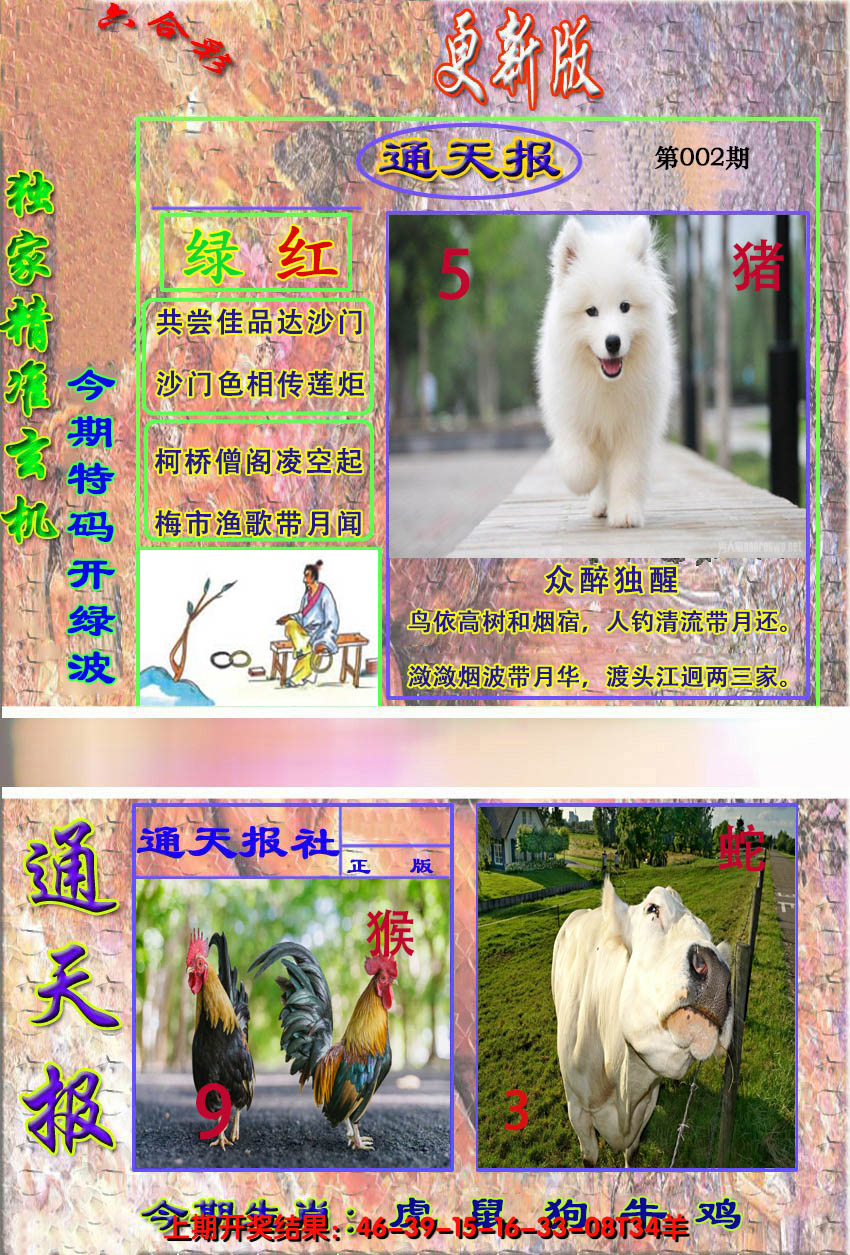 图片加载中