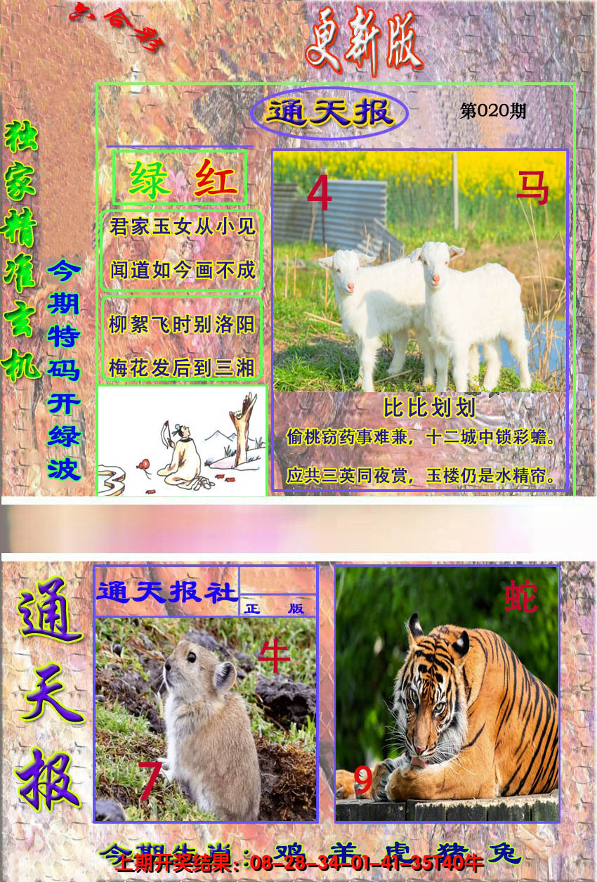 图片加载中