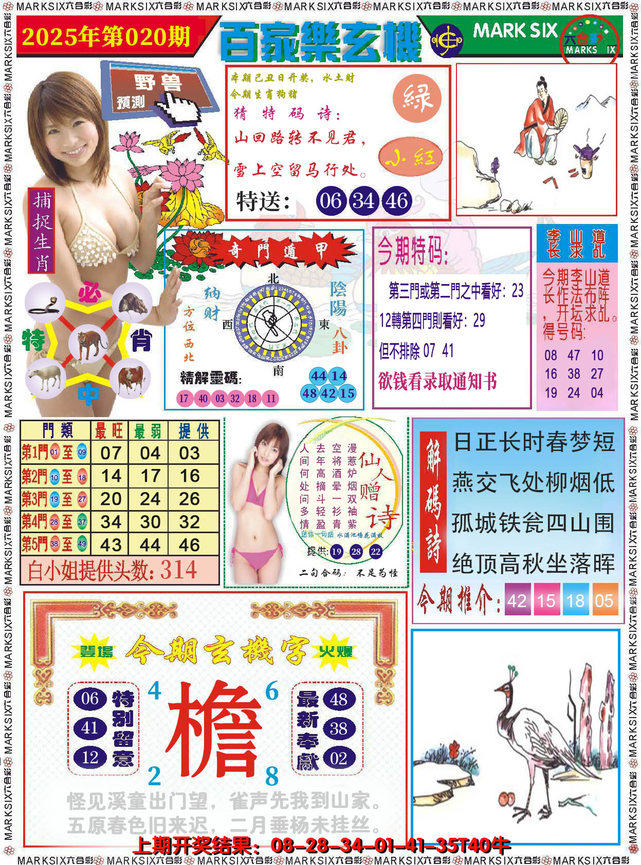 图片加载中