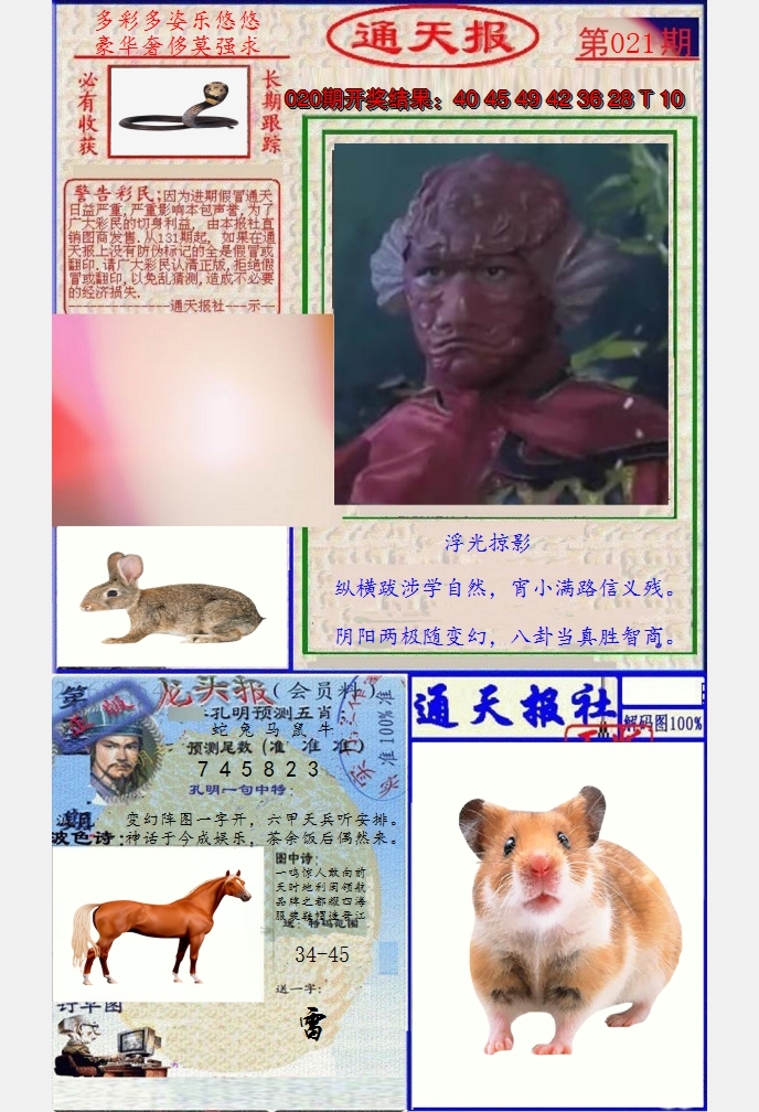 图片加载中
