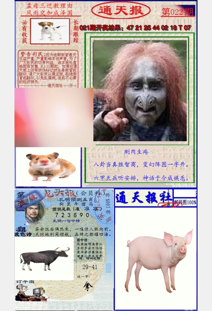 图片加载中