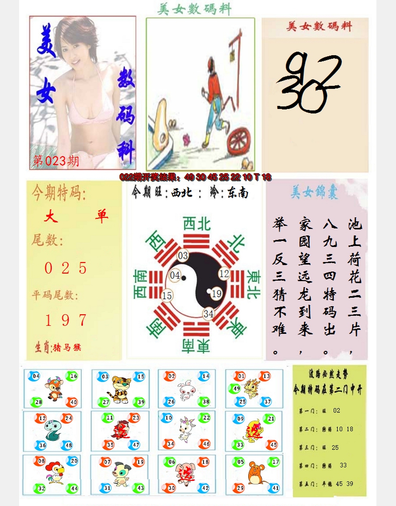 图片加载中