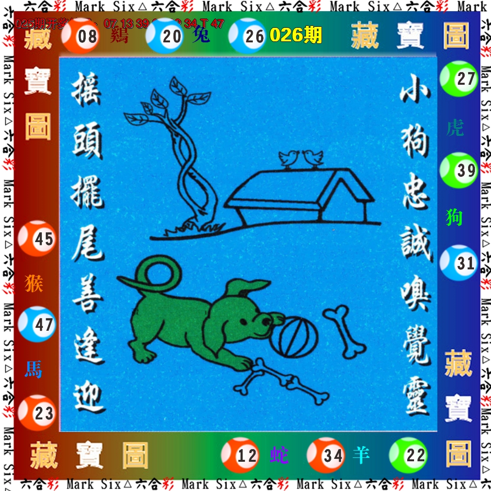 图片加载中