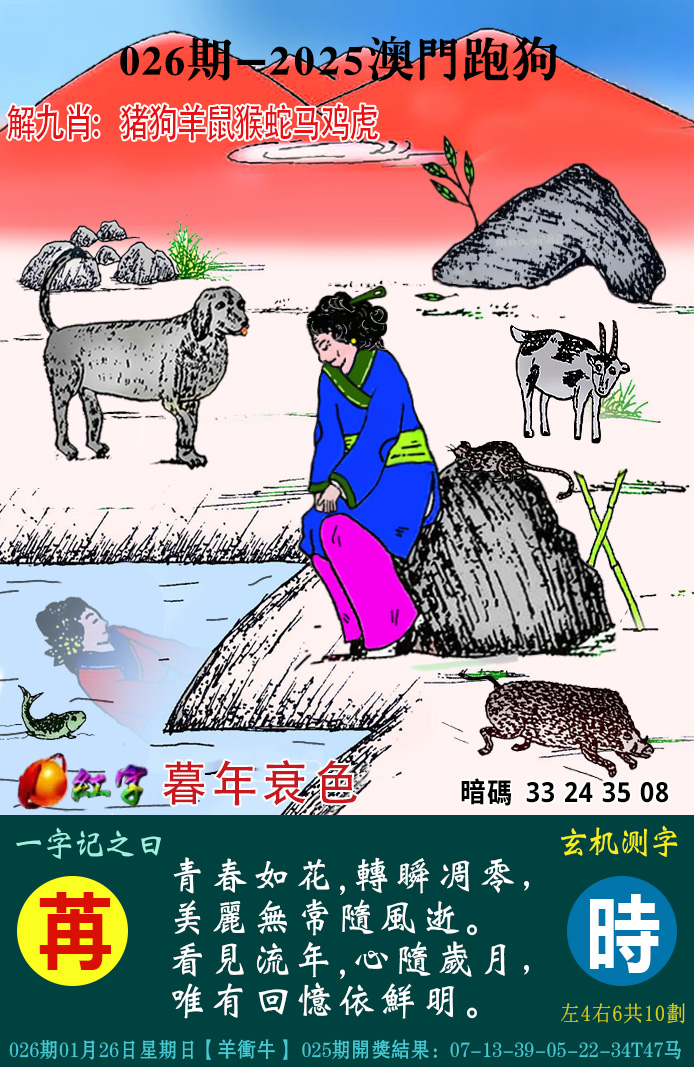 图片加载中