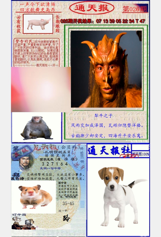 图片加载中