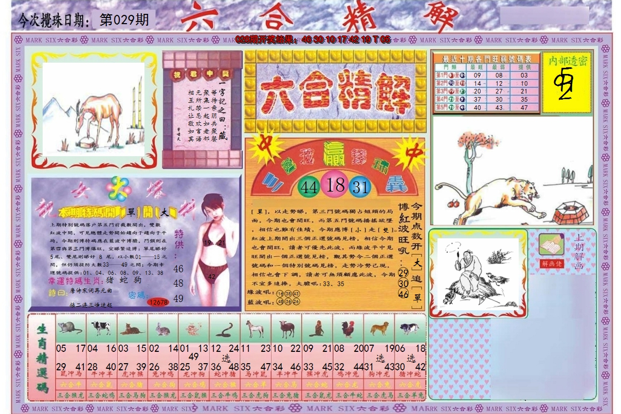 图片加载中