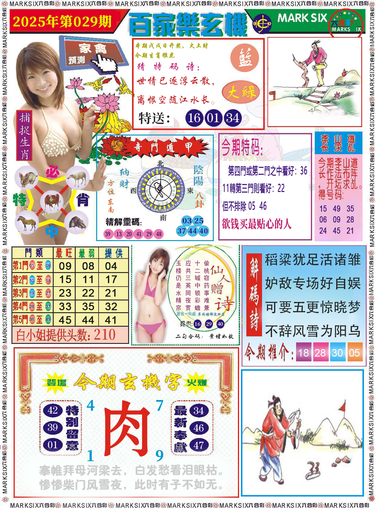 图片加载中