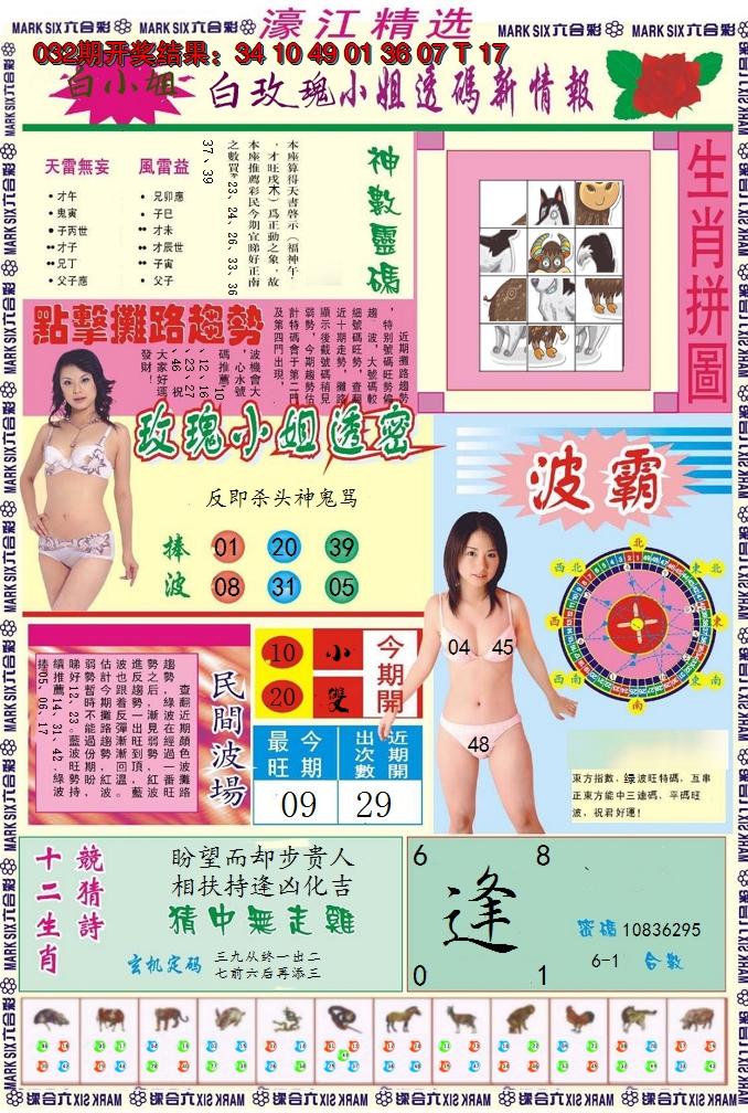 图片加载中