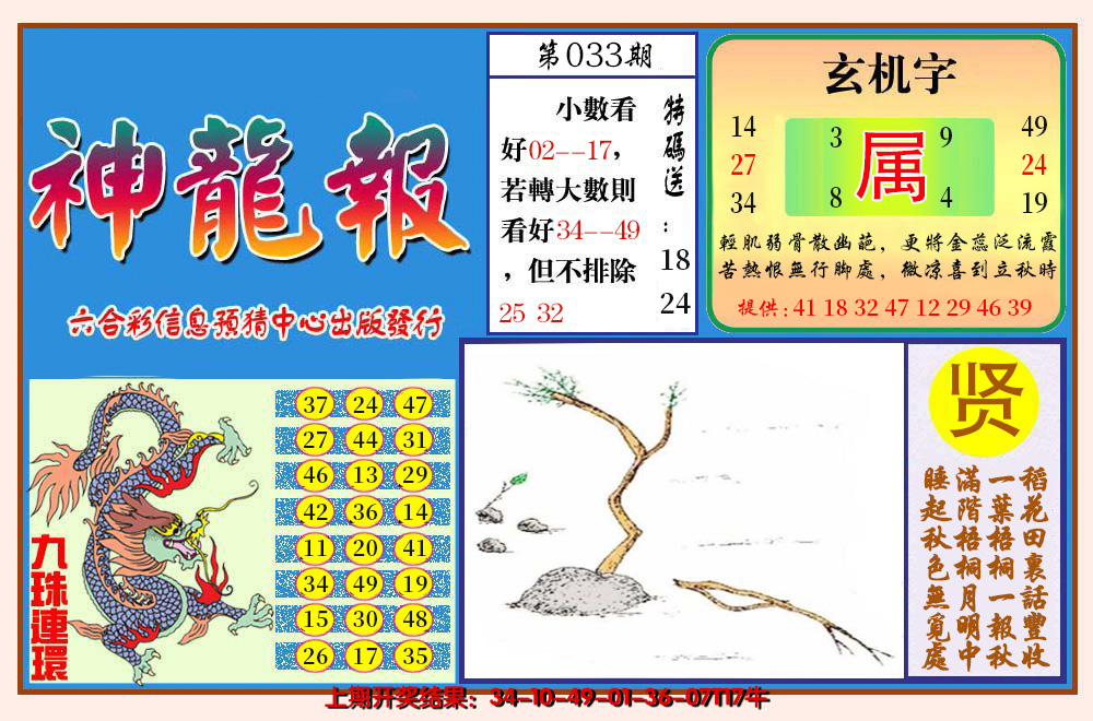 图片加载中
